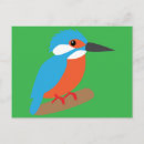Zoek naar ijsvogel briefkaarten Wild