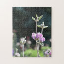 Zoek naar plantkunde puzzels Tuin