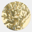 Zoek naar rif stickers Zee