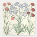 Zoek naar anjers stickers Botanisch