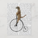 Zoek naar meerkat briefkaarten Pony farthing