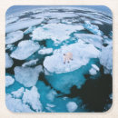 Zoek naar ijs onderzetters Landschap