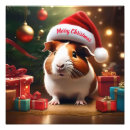 Zoek naar hamster kunst Cavia