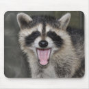 Zoek naar raccoon muismatten Baby