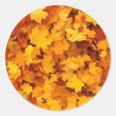 Zoek naar indisch stickers Landschap