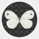 Zoek naar zwarte vlinder stickers Gast