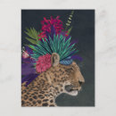 Zoek naar luipaard briefkaarten Wilde dieren