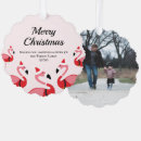 Zoek naar leuke flamingo kaarten Elk persoon