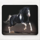 Zoek naar horse muismatten Fotografie