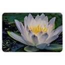 Zoek naar lotusbloem magneten Groen