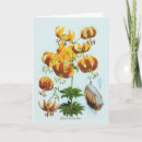 Zoek naar lilium kaarten Botanisch