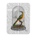 Zoek naar vogel magneten Steampunk