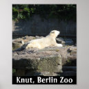 Zoek naar dierentuin posters Beer