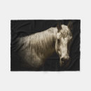 Zoek naar paard portret fotografie Western