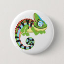 Zoek naar kameleon buttons Hagedis