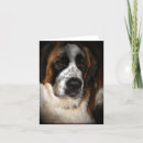Zoek naar sint bernard kaarten Dieren