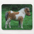 Zoek naar hengst elektronica Pony