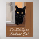 Zoek naar van de kat posters Venster