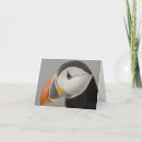 Zoek naar papegaaiduiker kaarten Vogel