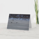 Zoek naar ganzen kaarten Elk persoon