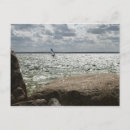 Zoek naar windsurf briefkaarten Zee