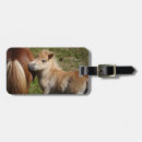 Zoek naar haflinger Merg