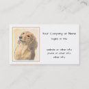 Zoek naar teckel visitekaartjes Langharig