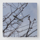 Zoek naar macro kunst Lente