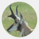 Zoek naar profielen stickers Elk persoon