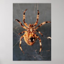 Zoek naar zwarte weduwe spin posters Web
