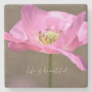 Zoek naar steen fotografie Voor haar