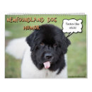 Zoek naar grappige hond kalenders Humor