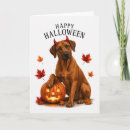 Zoek naar rhodesians kaarten Rhodesian ridgeback