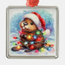 Zoek naar bever ornamenten Wild