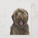 Zoek naar hond portret briefkaarten Humor