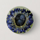 Zoek naar anemonen buttons Bloemen