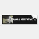 Zoek naar katten bumperstickers Elk persoon