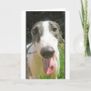 Zoek naar windhonden kaarten Dieren