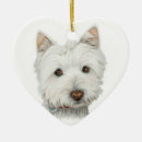Zoek naar westie ornamenten Sierding