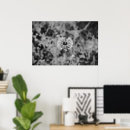 Zoek naar paardebloem kunst Natuur