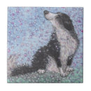 Zoek naar border collie tegels Hond