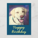 Zoek naar grappige vintage honden kaarten Schattige hond