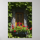 Zoek naar rode geranium posters Voor haar