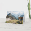 Zoek naar machu picchu kaarten Lama