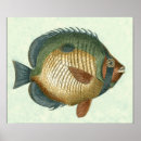 Zoek naar fish kunst Vis
