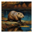 Zoek naar bevers posters Meer