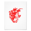 Zoek naar anatomisch hart kunst Afdrukken