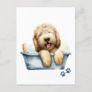 Zoek naar labradoodle briefkaarten Puppy