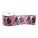 Zoek naar cavalier king charles spaniels lint Dier
