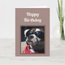 Zoek naar happy birthday boxers kaarten Grappig